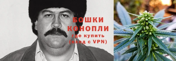PSILOCYBIN Козловка