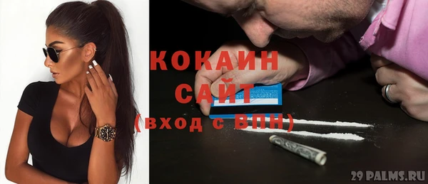 PSILOCYBIN Козловка
