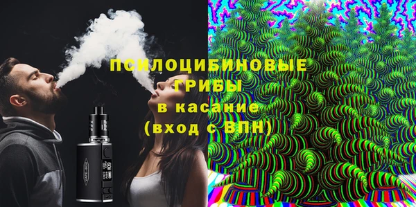 PSILOCYBIN Козловка