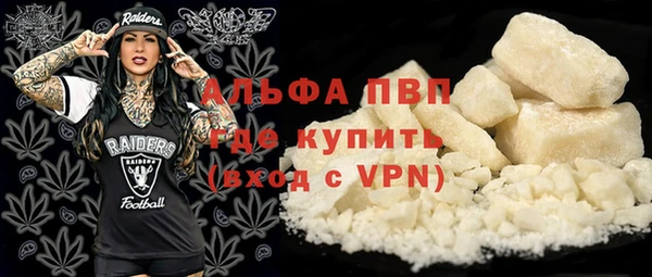 PSILOCYBIN Козловка