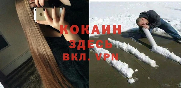 PSILOCYBIN Козловка